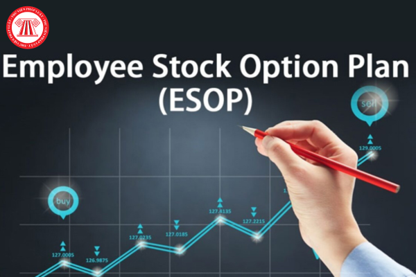 Mẫu báo cáo kết quả phát hành cổ phiếu esop mới nhất